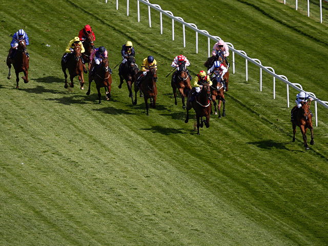 We're racing at Epsom (pictured), Catterick, Perth, and Punchestown today