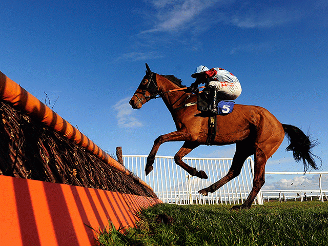 There is jumps racing from Exeter on Friday