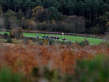 Timeform examine the in-running angles at Exeter