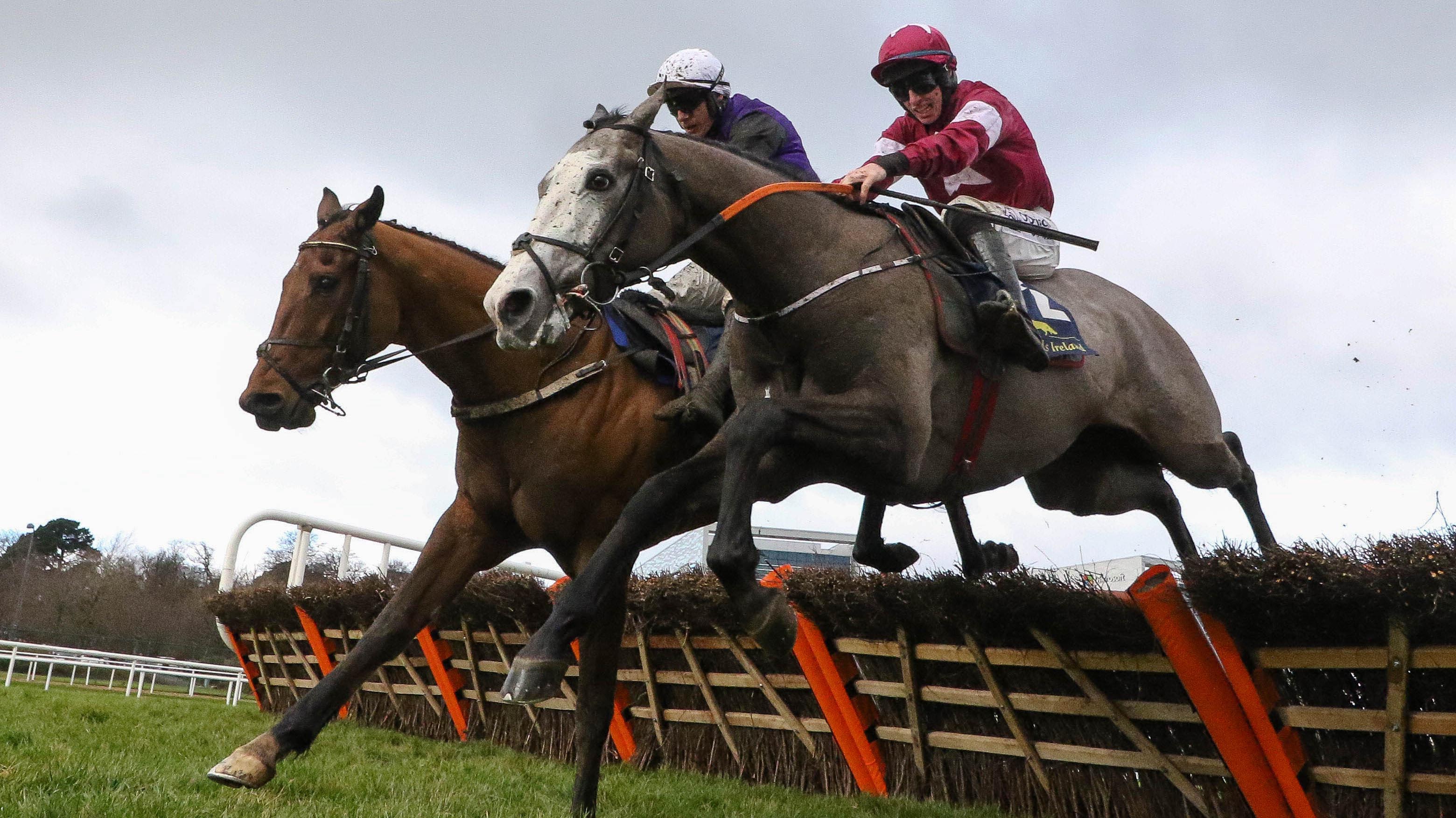 Gordon Elliott - Saturday runners preview, Gowran Park