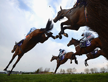 http://betting.betfair.com/horse-racing/Fence-action-371.gif
