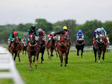 http://betting.betfair.com/horse-racing/Field-front-on-action-371.jpg