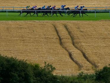 http://betting.betfair.com/horse-racing/Folkestone-long-shot-371.jpg