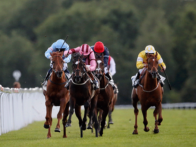 Follow The Money brings you three horses to look at from Navan, Cartmel and Haydock this afternoon