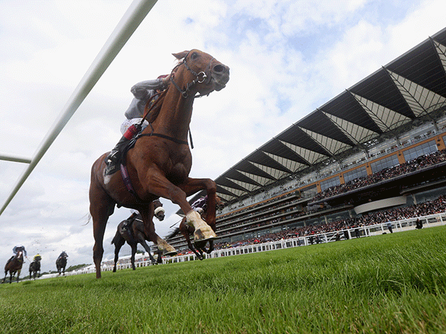 Galileo Gold comes home ahead of the field at Royal Ascot to the delight of Hugo 