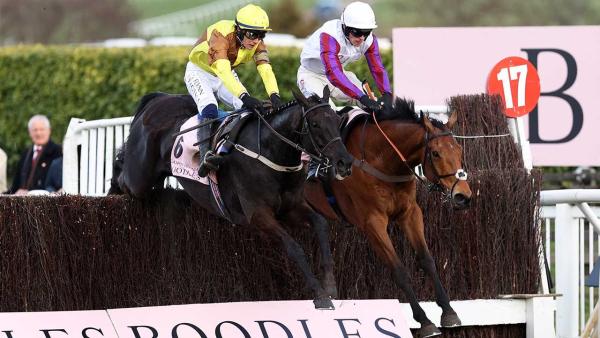 Gallopin Des Champs Bravemansgame Gold Cup 2023 1280.jpg