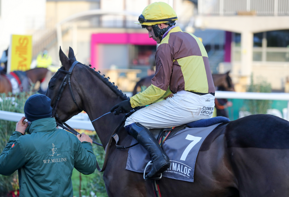 Today’s Cheltenham Tips | Champs can Galop Bob into the ground