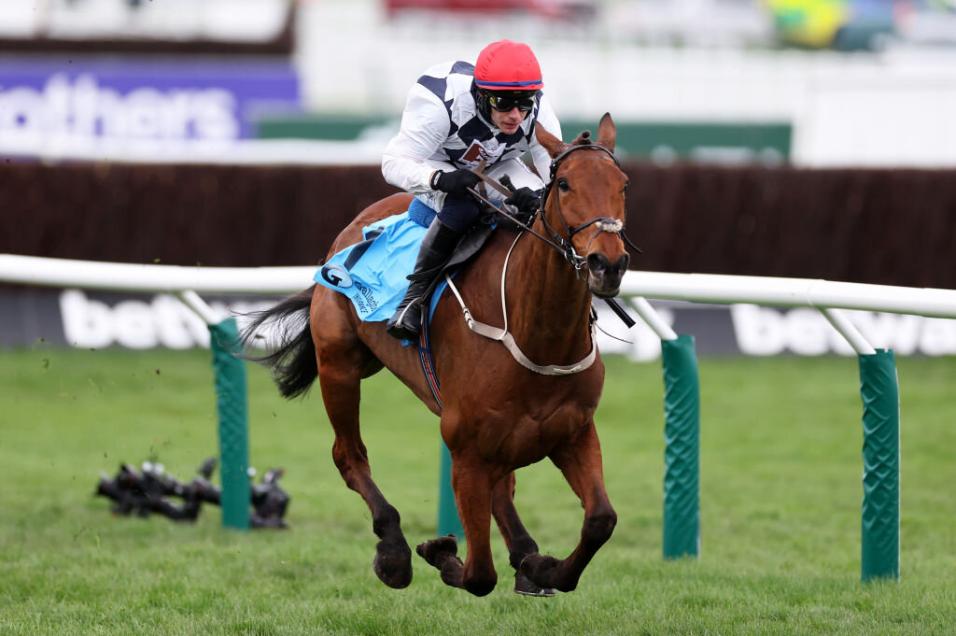 Cheltenham Festival 2025 Tips Three eyecatchers to follow