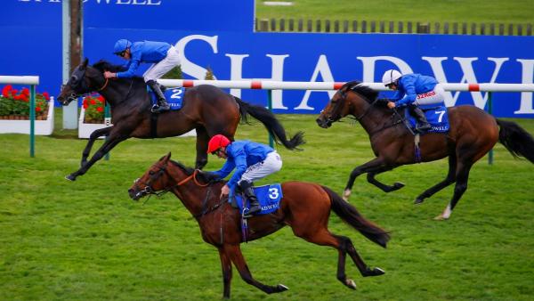 Godolphin trio in finish .jpg