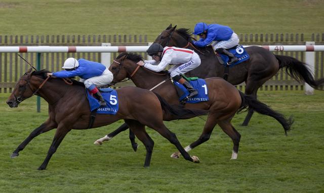 Godolphin have runners at Pontefract on Sunday 
