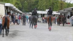 Gowran Park