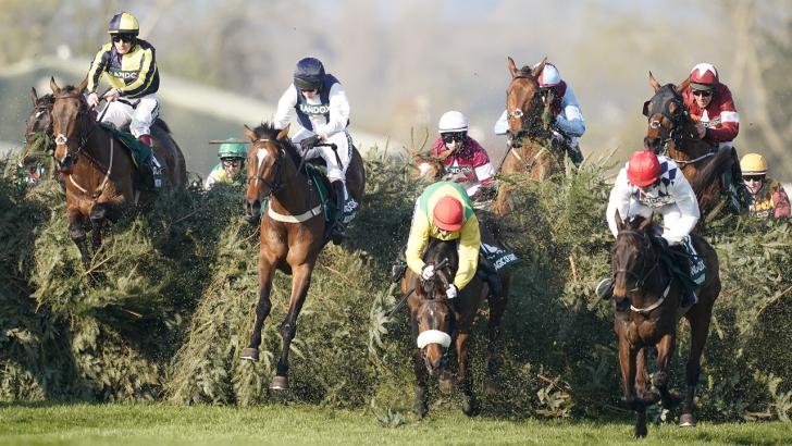 Aintree Grand National fence action