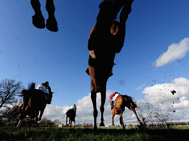 It's jumps fare from Kelso for Betfair punters this afternoon and evening 
