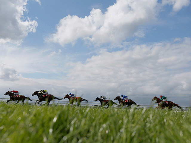 There are three meetings to enjoy today - on the flat at Pontefract, and over jumps at Newton Abbot and Hexham 