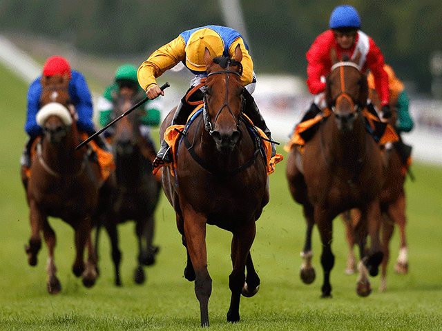 Hawksmoor could take part in the valuable Falmouth Stakes next week