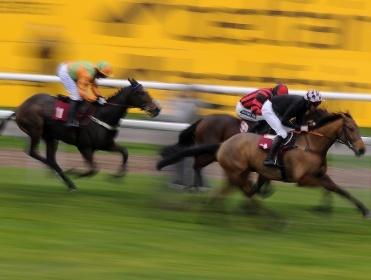 http://betting.betfair.com/horse-racing/Haydock371.jpg