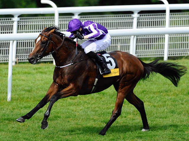 Ryan Moore rides Highland Reel in the big race at Ascot on Saturday afternoon
