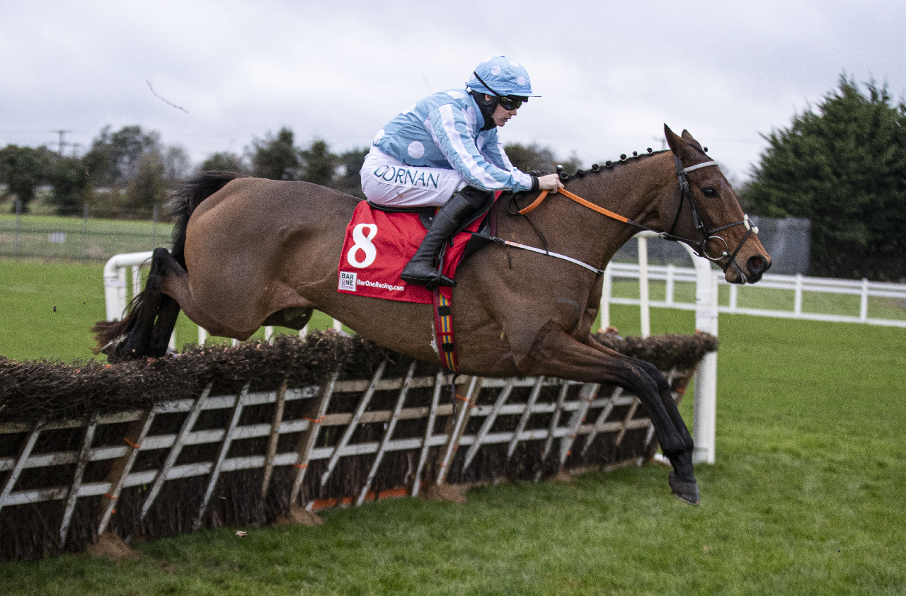 Dublin Racing Festival Tips: Star quality from beginning to end on an excellent second day - Vimarsana News