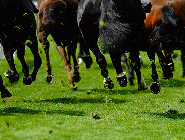Timeform have spotted some in-play angles at Market Rasen