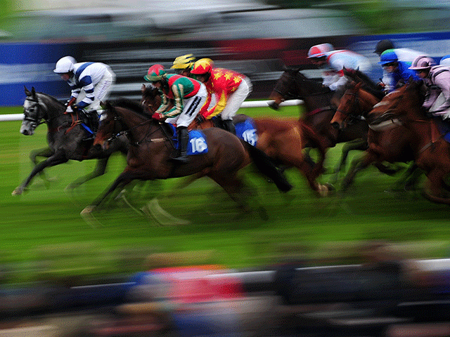 Today's Follow The Money tipping suggestions come from racing at Hamilton and Lingfield