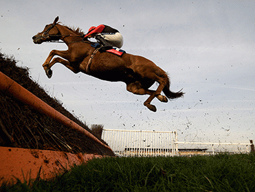 http://betting.betfair.com/horse-racing/Horse-takes-fence-mid-air-371.gif
