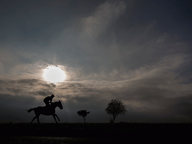 https://betting.betfair.com/horse-racing/Horse-winter-sun-silhouette-640.gif
