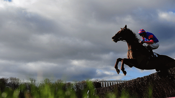 Horse jumping a fence