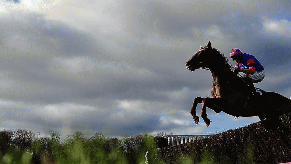 Horse jumping a fence