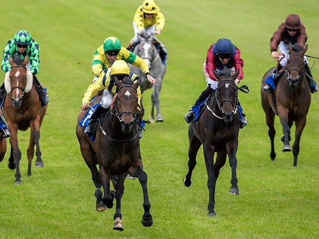Follow The Money have two Friday bets at Ayr 