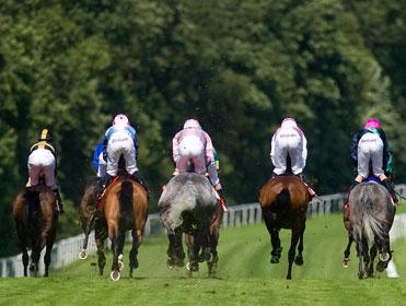 http://betting.betfair.com/horse-racing/Horses-from-behind-371.jpg