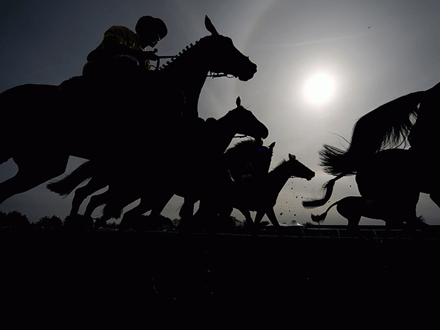https://betting.betfair.com/horse-racing/Horses-start-sun-silhouette-640.gif
