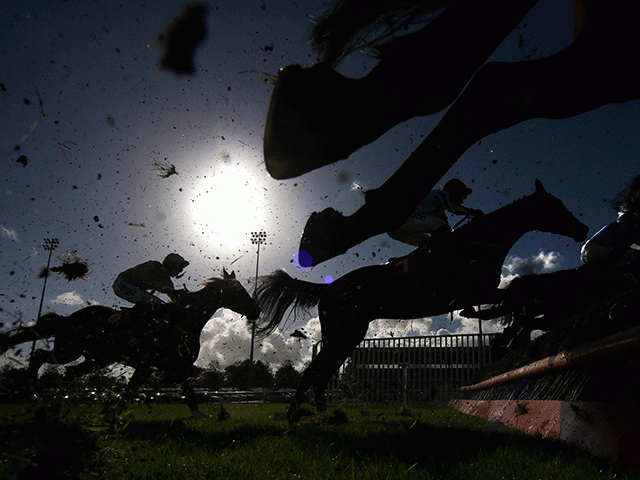 The winter sun will be shining at Kempton today