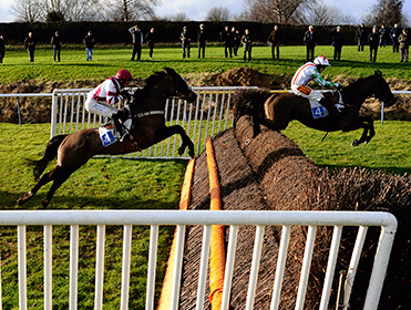 http://betting.betfair.com/horse-racing/Hurdles-action-side-on-371.gif