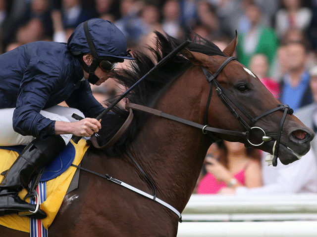 Intelligence Cross is Tony's idea of a value bet in the Middle Park Stakes