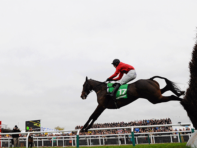 Johns Spirit jumps to Paddy Power Gold Cup glory in 2013 - can Tony's selection repeat? 