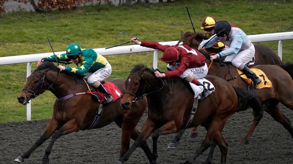 Horse Racing Tips: Trust in Trap for a Wednesday 38/1 multiple