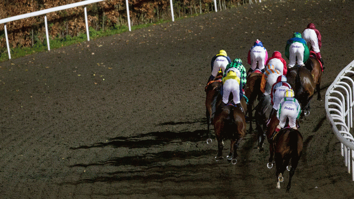 https://betting.betfair.com/horse-racing/Kempton-all-weather-horses-behind-1280.gif