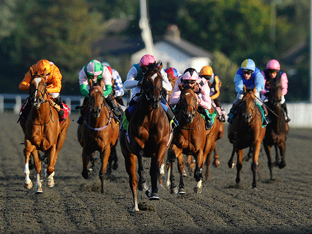 There is racing from Kempton on Monday afternoon