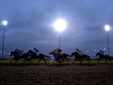They race under the floodlights at Kempton on Wednesday
