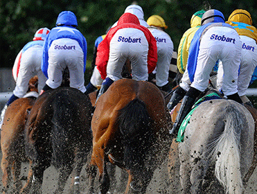 Racing comes from the all-weather at Kempton today