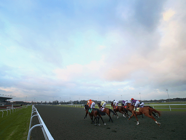 There is Flat racing on the all-weather at Kempton on Wednesday evening