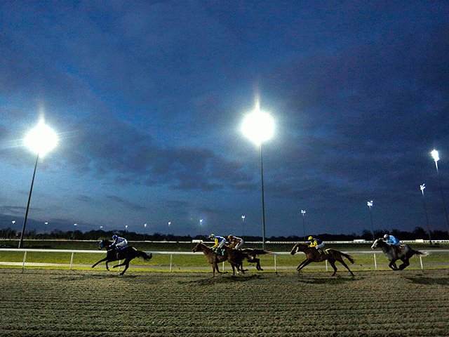 There are eight races to attack at Kempton this evening