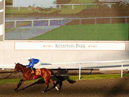 https://betting.betfair.com/horse-racing/Kempton-screen-640.gif