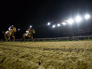 Racing comes from Kempton this evening