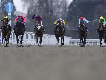 Simon has examined the sectionals at Kempton