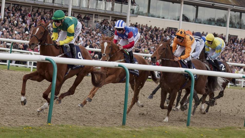 Timeform pick out their three best bets in North America tonight