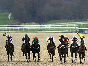 http://betting.betfair.com/horse-racing/Lingfield-AW-371.gif