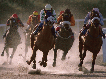 https://betting.betfair.com/horse-racing/Lingfield-action-on-bend-2-640.gif
