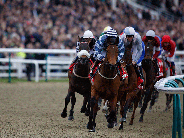 Lingfield stages an eight race card today