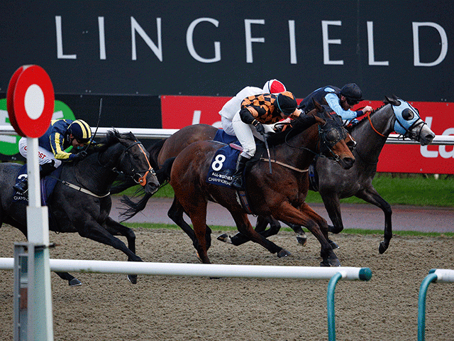 We're racing at Lingfield (pictured), Ffos Las, and Leopardstown this evening